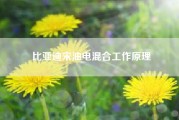 比亚迪宋油电混合工作原理？比亚迪宋汽油版是混动车吗？