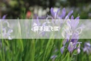 仰手接飞猱（穴是什么动物）